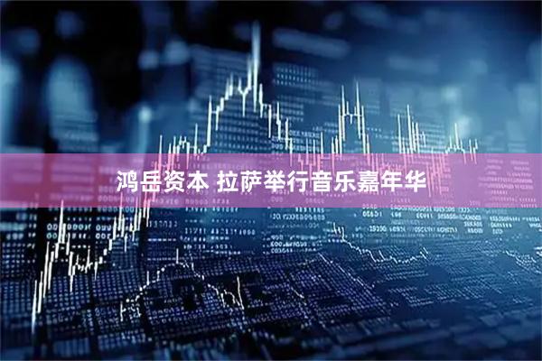 鸿岳资本 拉萨举行音乐嘉年华