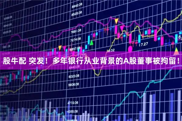 股牛配 突发！多年银行从业背景的A股董事被拘留！