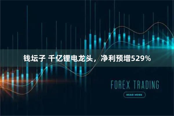 钱坛子 千亿锂电龙头，净利预增529%