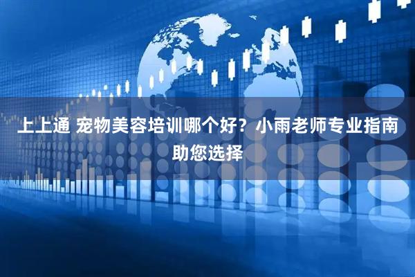 上上通 宠物美容培训哪个好？小雨老师专业指南助您选择