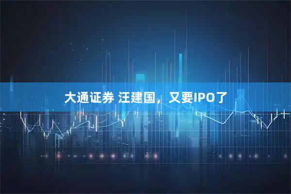 大通证券 汪建国，又要IPO了