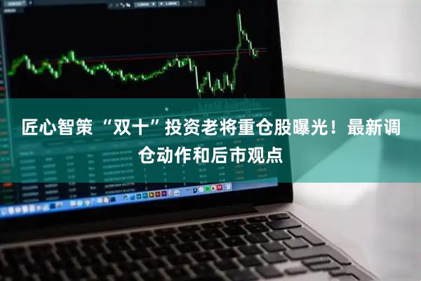 匠心智策 “双十”投资老将重仓股曝光！最新调仓动作和后市观点